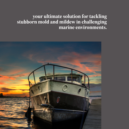 MB Mold Ahoy - Marine Bio Cleaner for Mold Stains